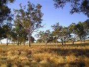 Hand pump at dawn - Rudall River
