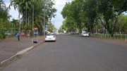 View South on the Service Rd