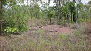 Old Camp Site on Eastern side of Hwy