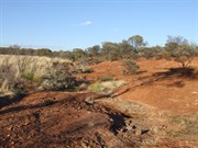 The Unnamed Rockhole