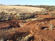 Cairn marking rockholes location