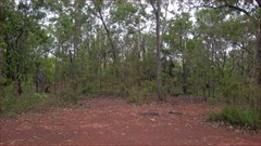 World War II Airstrip Hughes