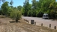 Coomalie Creek Rest Area