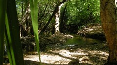 Coomalie Creek Rest Area - Coomalie Creek 