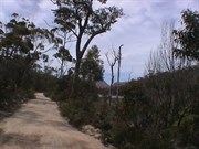 Friendly Point Track