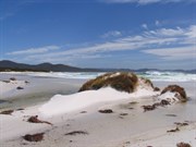 Friendly Beaches - Southern area