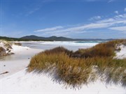 Friendly Beaches - Southern area