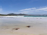 Friendly Beaches - Southern area