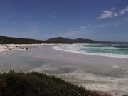 Friendly Beaches - Southern area