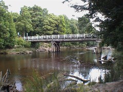 Savage River, Norfolk Road - Savage River 