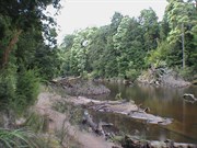 Savage River