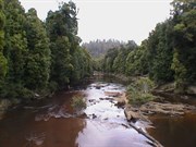 Savage River