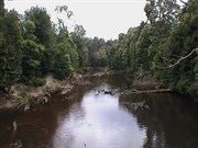 Savage River