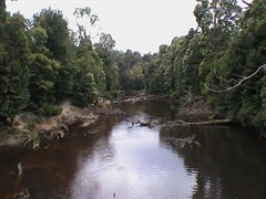 Savage River, Norfolk Road - Savage River 