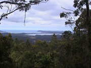 Views from the Lookout