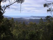 Views from the Lookout