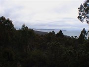 Views from the Lookout