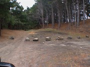 Pines Camping Area