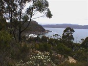 Views from the Lookout