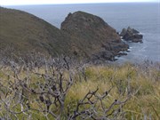 Views near the Cape Bruny Lighthouse