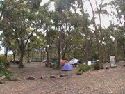 Jetty Beach Campground