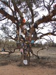 The Hat tree