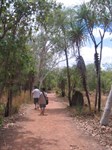 The Walking Track