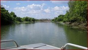 Yellow Water Billabong 
