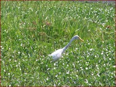 Yellow Water Billabong Part 2 