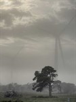 Turbines dimly visible through fog