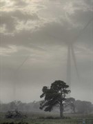 Wattle Point wind farm - Turbines dimly visible through fog