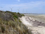 Wattle Point wind farm