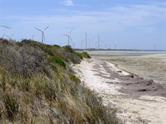 Wattle Point wind farm