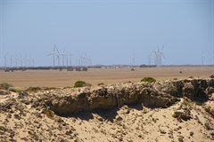 Wattle Point wind farm - From over 10 Kilometres away at Troubridge Hill
