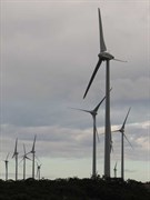 Mount Millar wind farm - Looking along length of wind farm