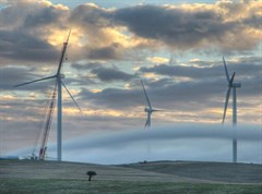 Snowtown Wind Farm - Fog streaming between the turbines