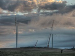Snowtown Wind Farm - Fog being cleared away by morning breeze