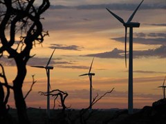 Canunda wind farm - Sunrise