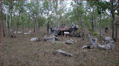 World War II B-24 Liberator Crash - B-24 Liberator Wreckage