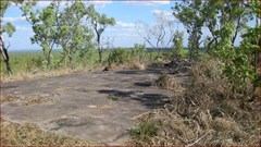 World War II Fenton Base Camp - View toward Airstrip from Camp