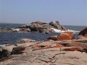 Skeleton Point