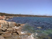 Skeleton Point