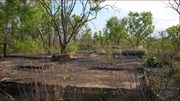 Workshop Site