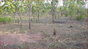 Building Site