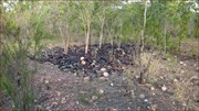 Adelaide River Airstrip Bottle Dump