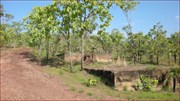 Camp Area
