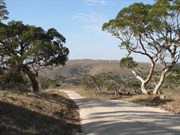 Looking from the public road on Salt Creek Hill toward the tur