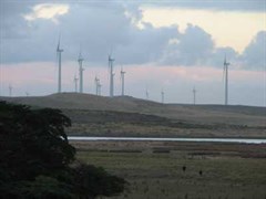Yambuk wind farm - Some of the Yambuk turbines from the SE end