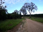 Changing scenery along the Cooloola Way