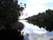 Noosa River at Harrys Hut looking north